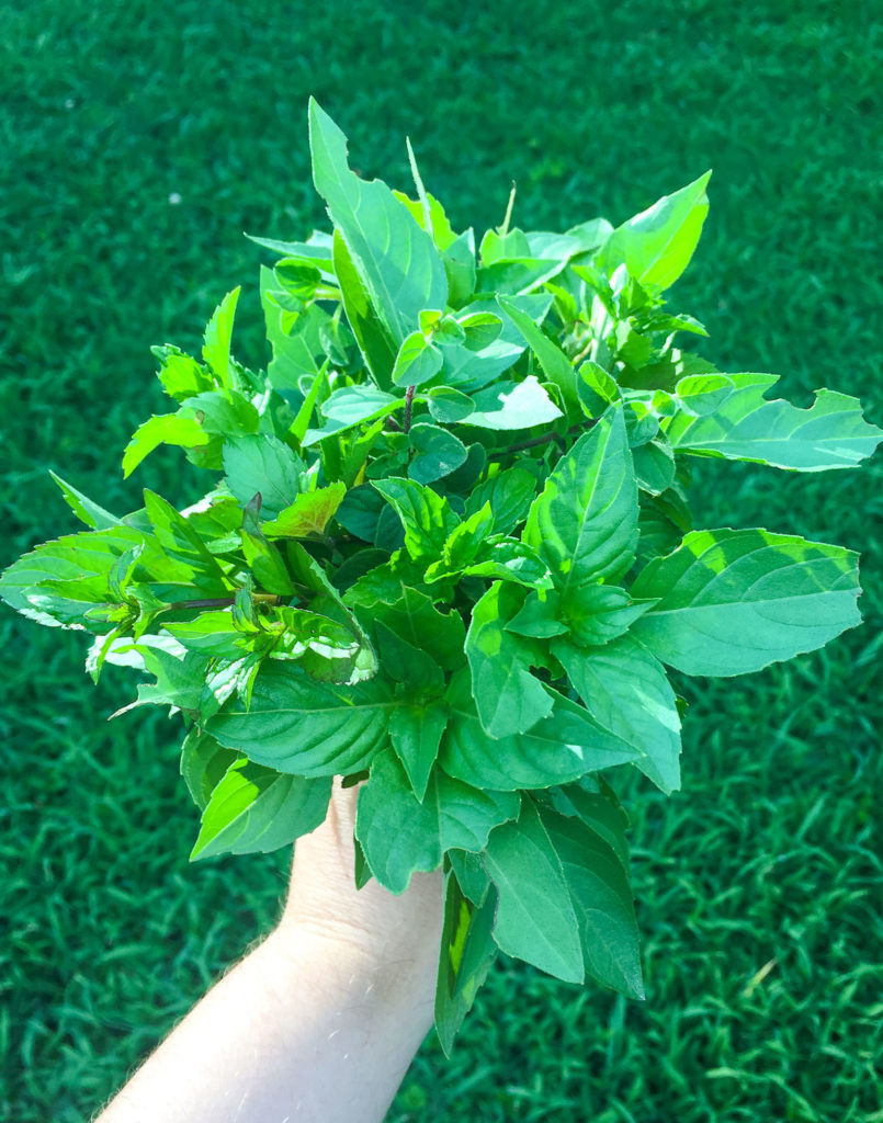 Herb Bouquet- Labor Day Weekend