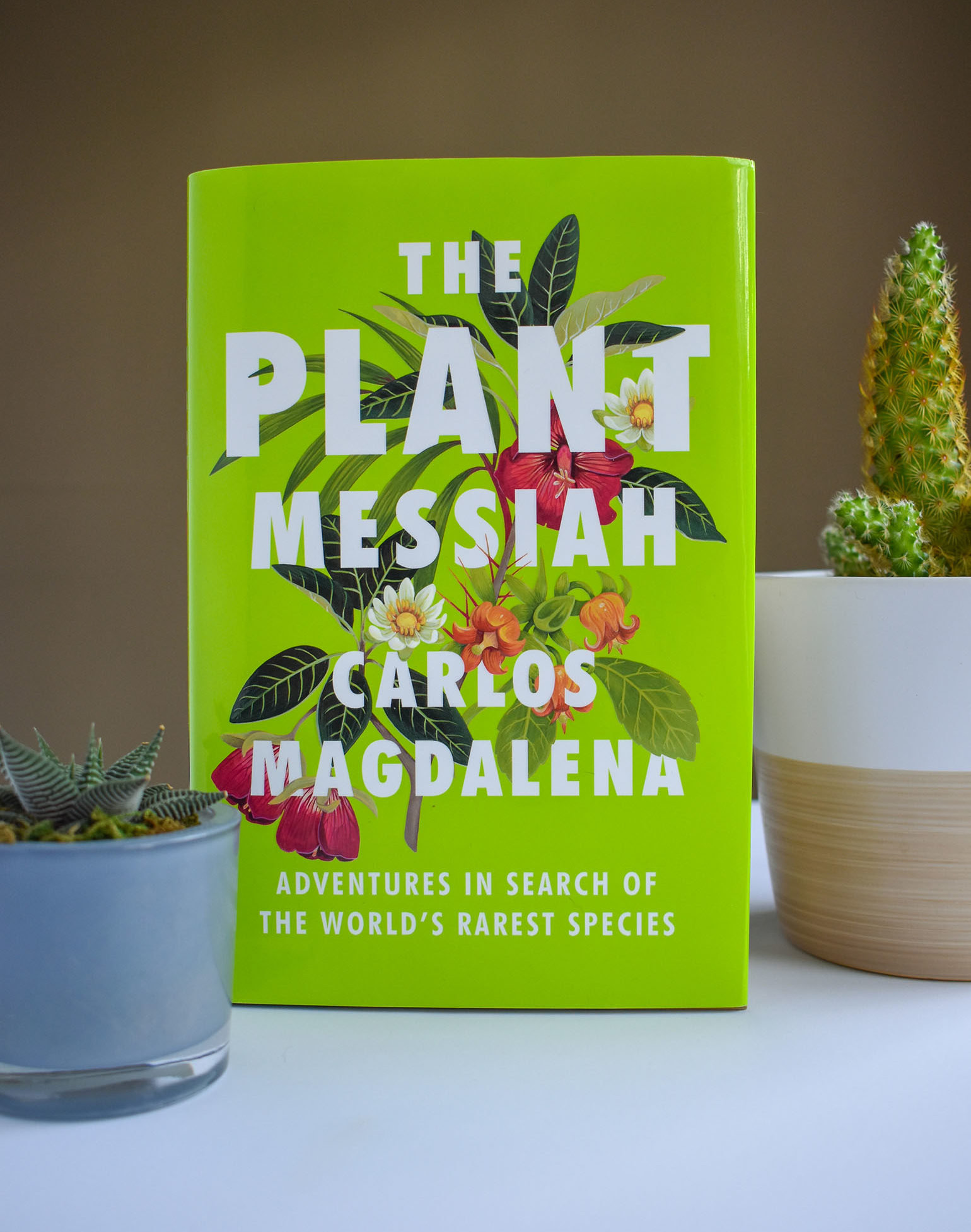 Plant Messiah book and cactus'