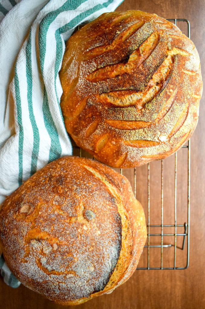 Sour Dough Bread Boules- Weekend Reading