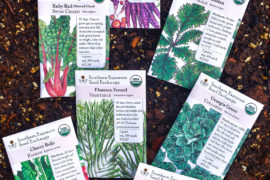 Planting a Fall Garden- Vegetable Garden Seeds
