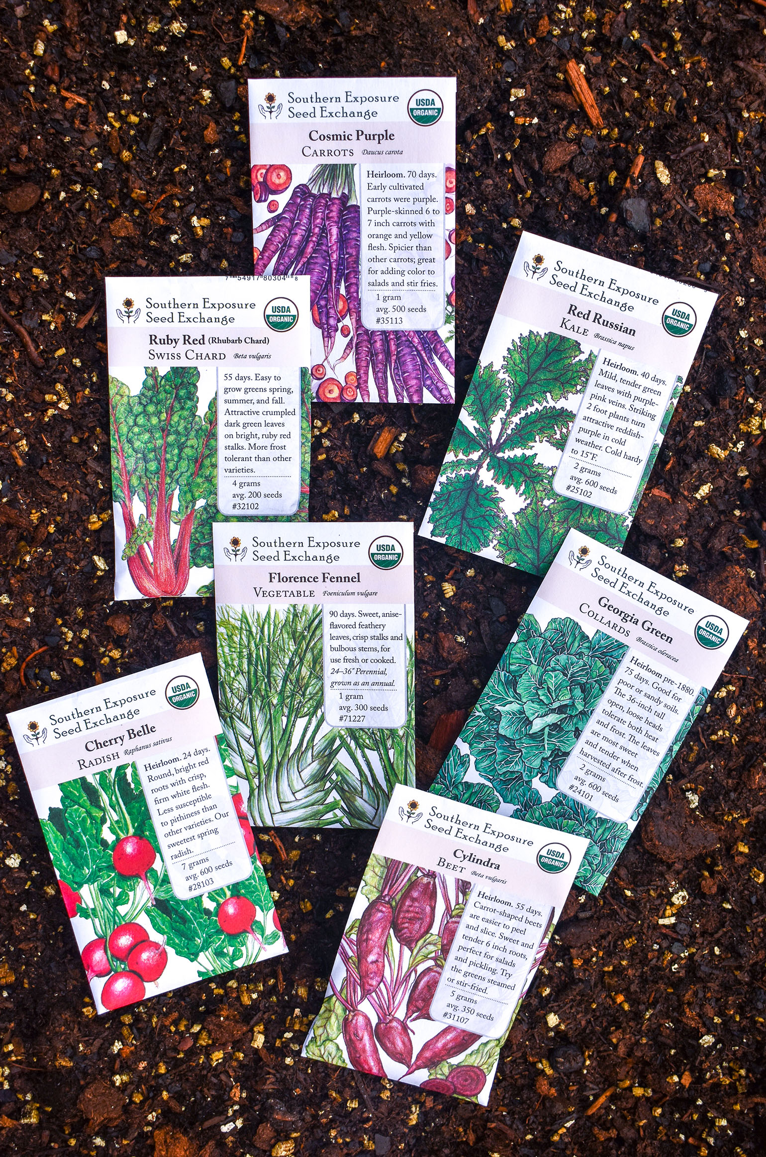 Planting a Fall Garden- Vegetable Garden Seeds