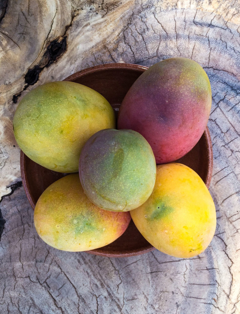 Mangoes in Nicaragua - Weekend Reading