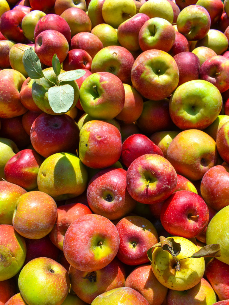 Apple Pile- Happy Weekend