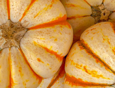 Striped Pumpkins- Weekend reading