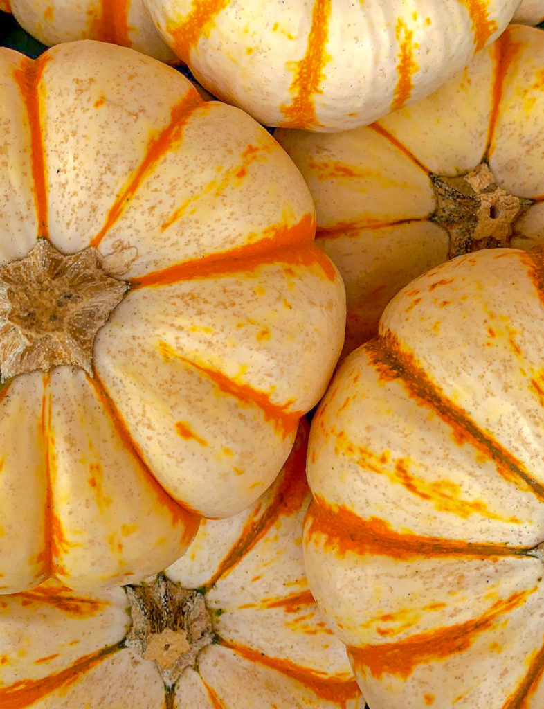 Striped Pumpkins- Weekend reading